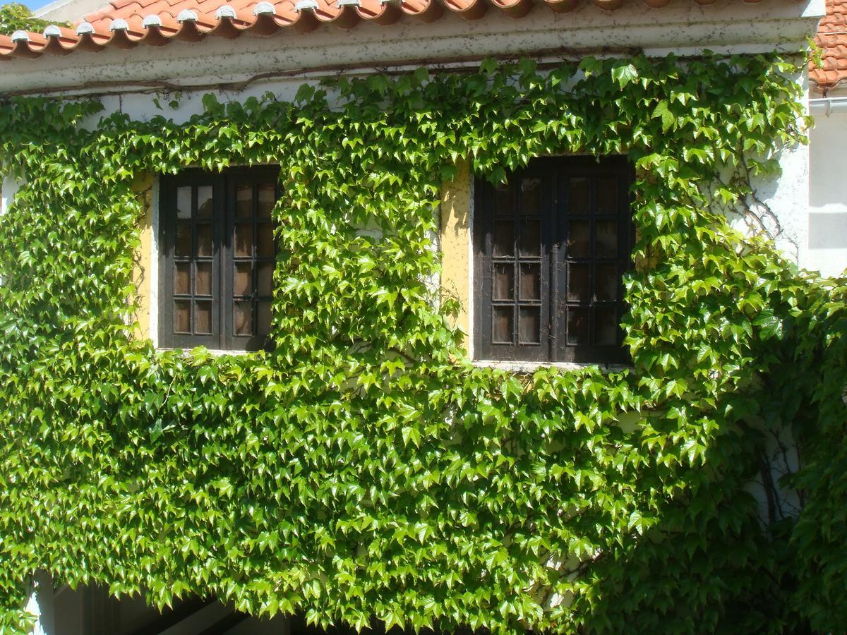 Travelers By Rio Natural Vila Nova de Milfontes Exterior photo